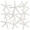 Nautical Crush Trading; Starfish 10 Pack Large White Finger Starfish 6"-8" for Craft and Décor; Category:Shells; Image:2